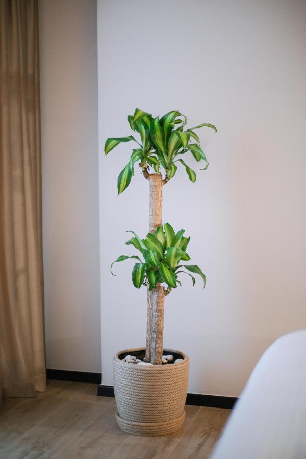 Boulevard Boutique Aparthotel Korce Ngoại thất bức ảnh